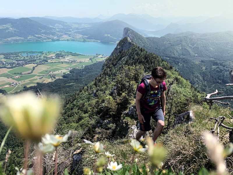 Blick vom Gipfel Richtung Mondsee und Drachenwand