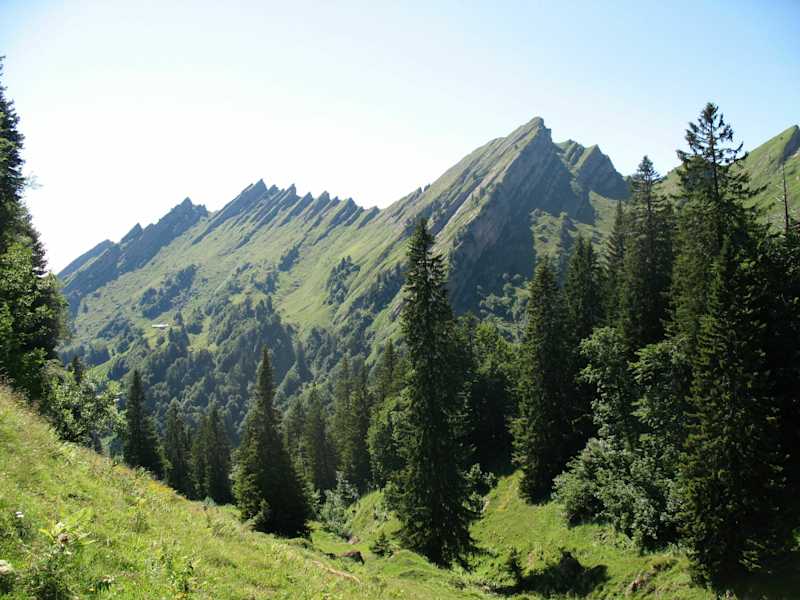 Über die Alp