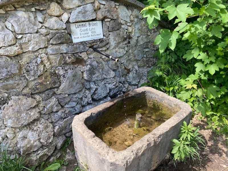 Ein Brunnen ist immer willkommen.