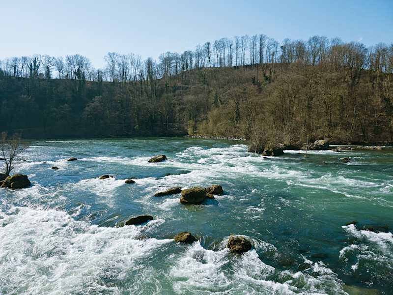 Der Rhein kurz vor dem Fall.