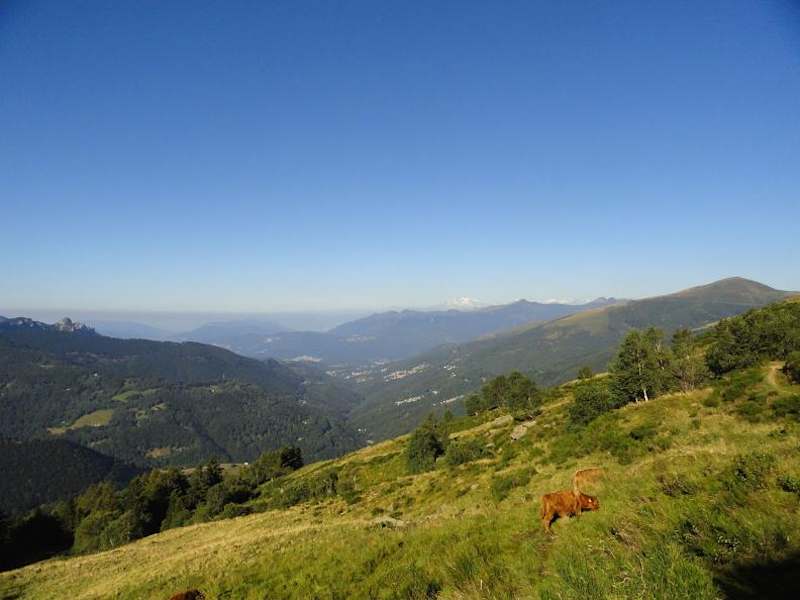 Wunderschöne Aussichten