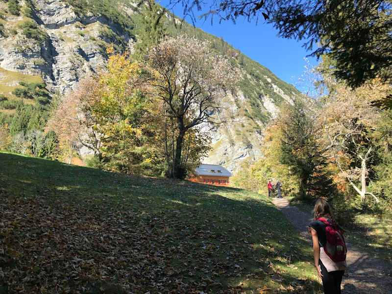 Die Gaisalm steht auf einem idyllischen Platz direkt am See.
