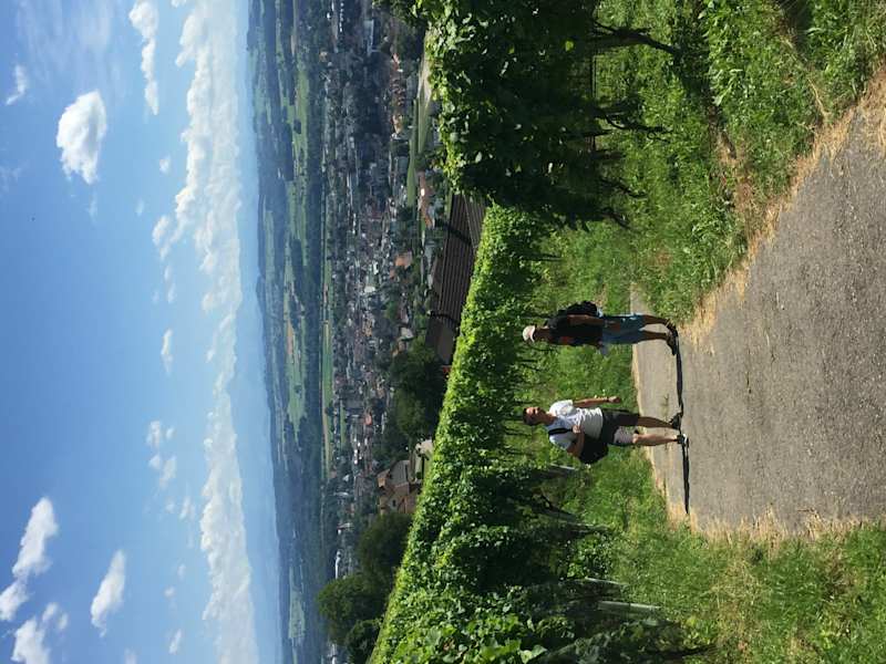 Weinweg Weinfelden