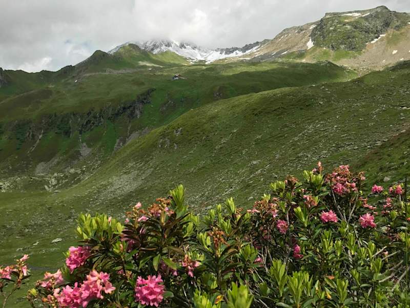 Über Almrosenmatten zur Edelhütte