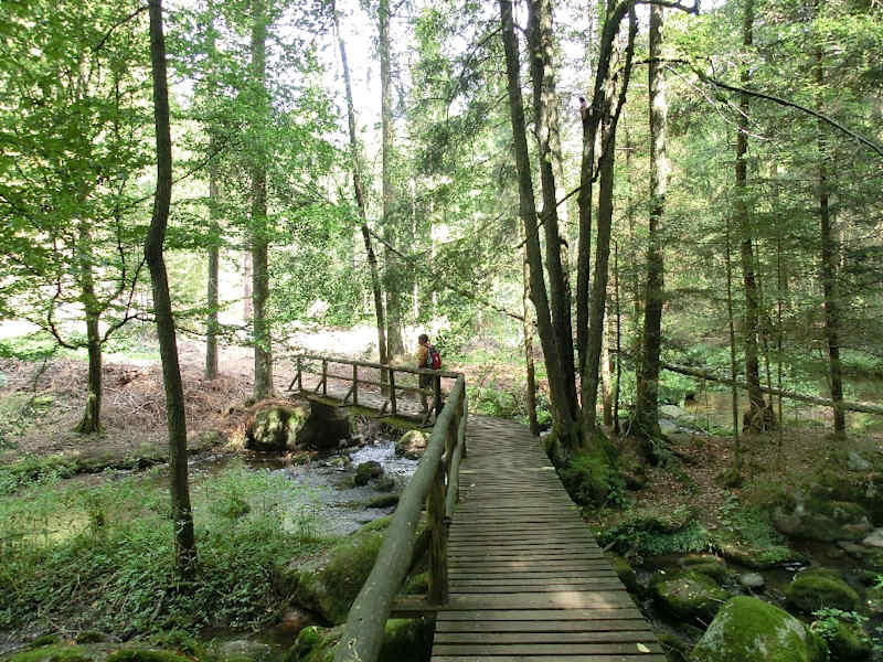 Höllbachtal