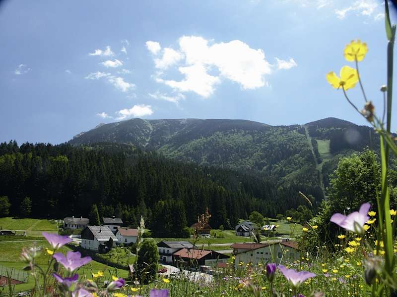 Sommer in Lackenhof, Ötscher