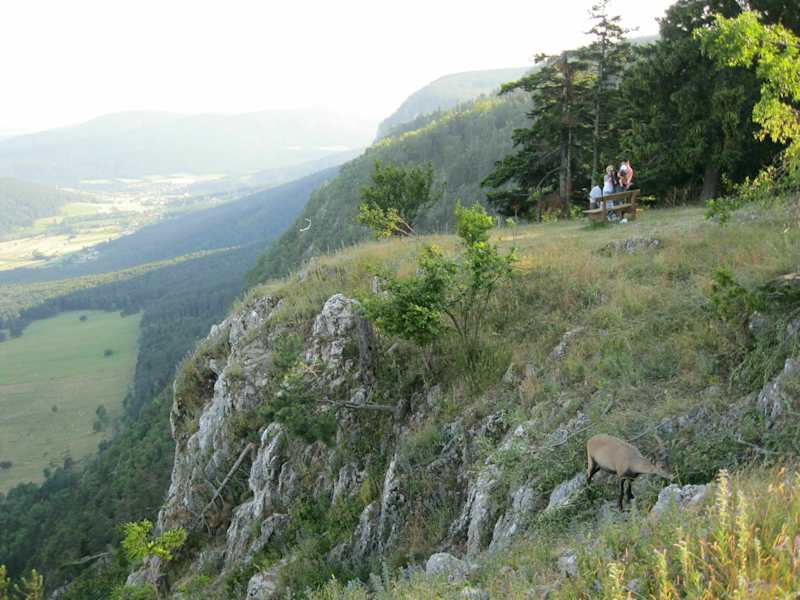 Am Südstartplatz, man beachte den Steinbock rechts unten
