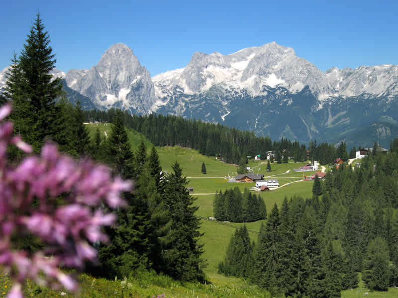 Aussicht