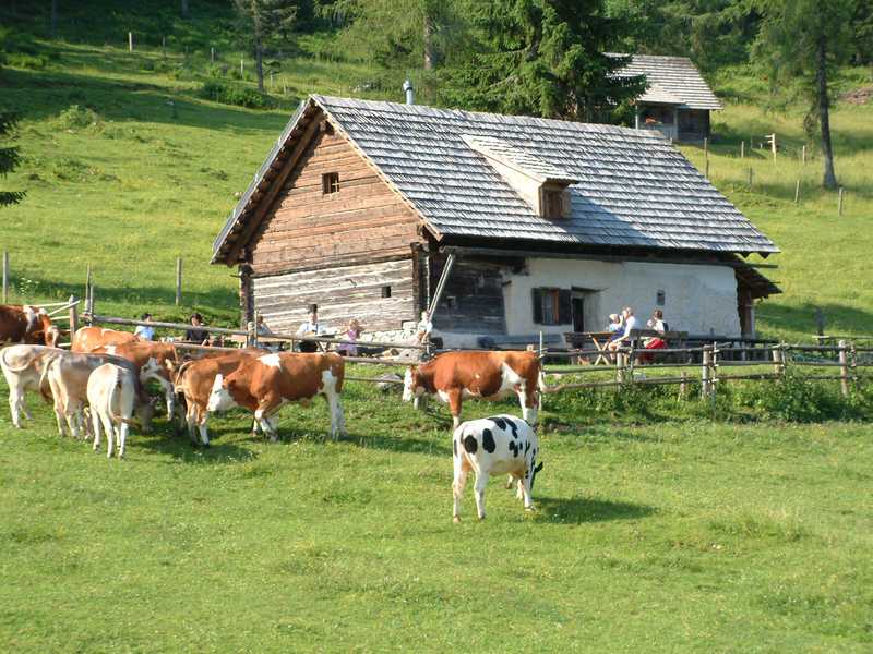Hütte