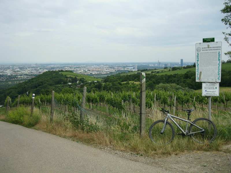 Aussicht über unzählige Weingärten, die Donau und das östliche Wien
