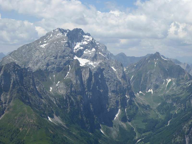 Polinik