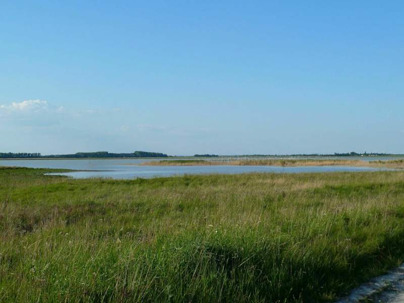 Lange Lacke
