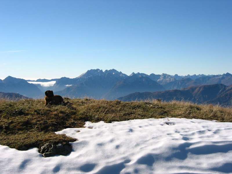 Panoramablick