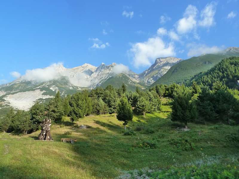 Im Unteren Teil führt der Anstieg zur Augsburger Hütte über schöne Weidefläche.