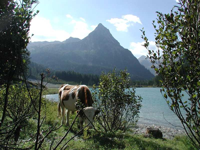 Südufer Schlierersee