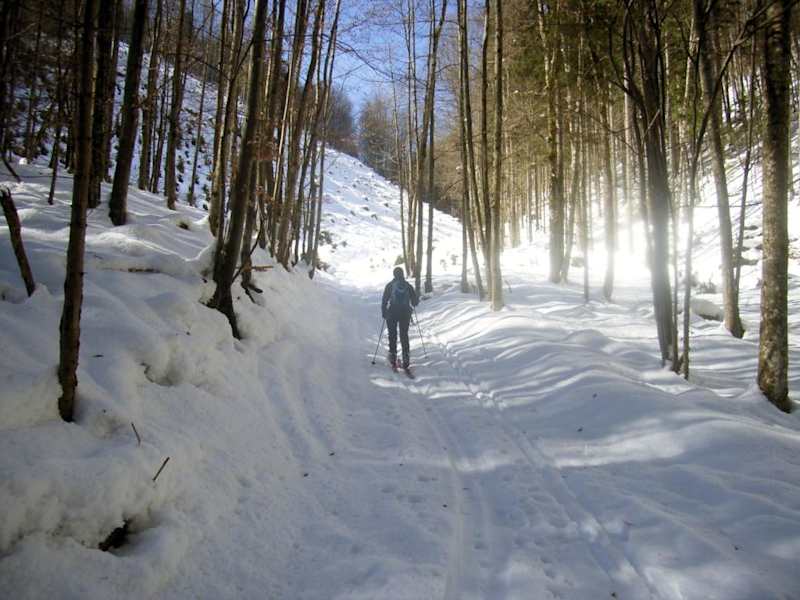 Sanfter Aufstieg durch den Wald im ersten Teil der Tour