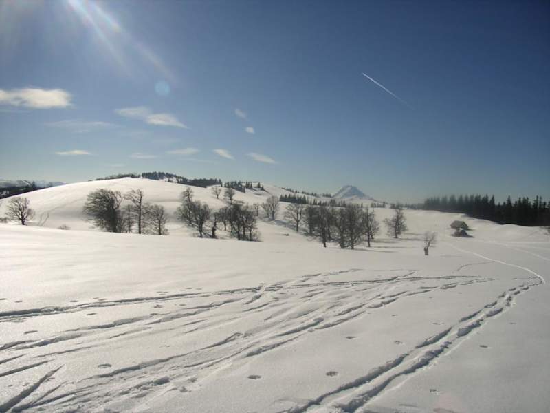 Am Rückweg Blick zurück über die gesamte Hochfläche, im Hintergrund zu erkennen der Ötscher