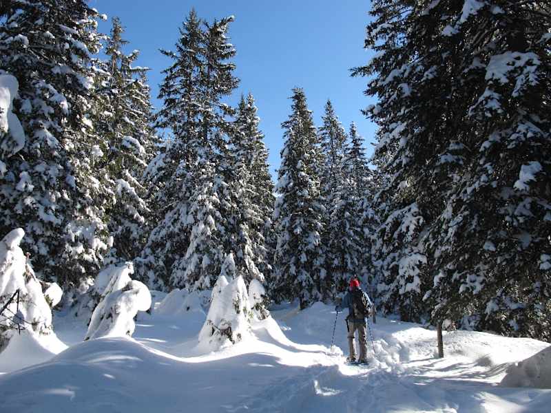Unterwegs am Monte Sous