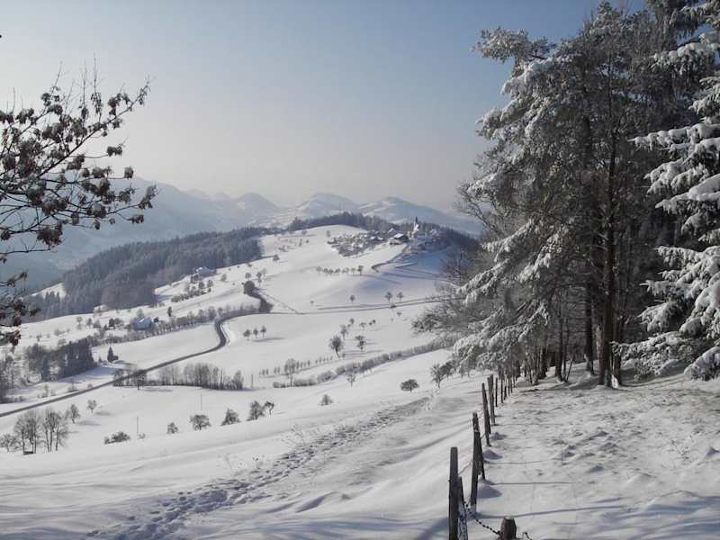 Knapp vorm Schobersberg - Blick auf Windhag