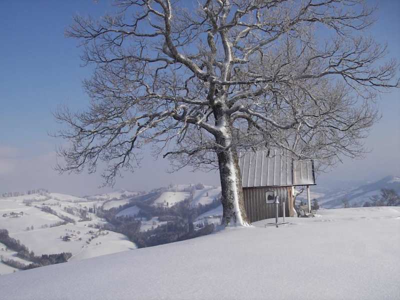 Holzkapelle am Schobersberg