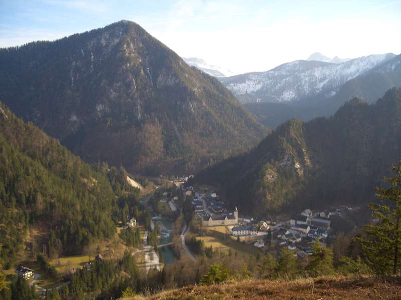 Löwekogel
