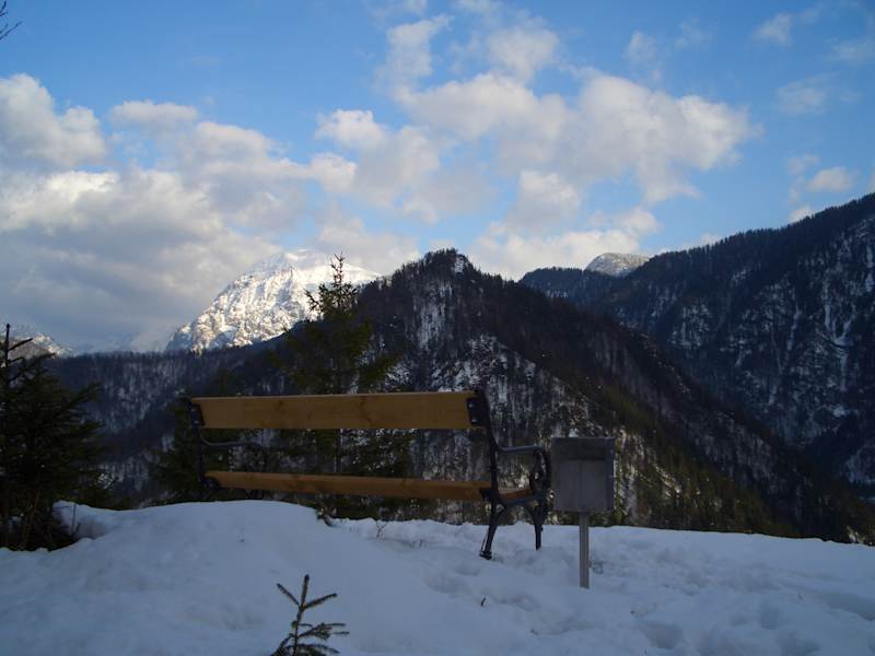 Löwekogel