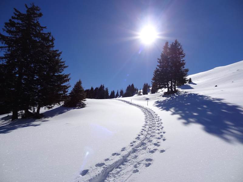 Wintersonne am Buchserberg