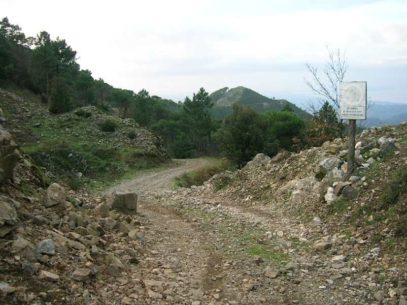 Weggabelung