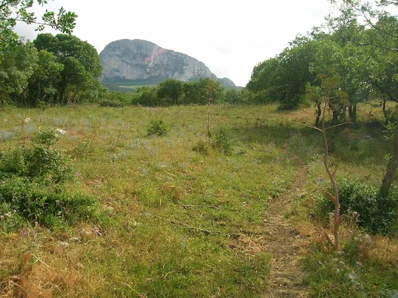 Blick zur Rocca Busambra