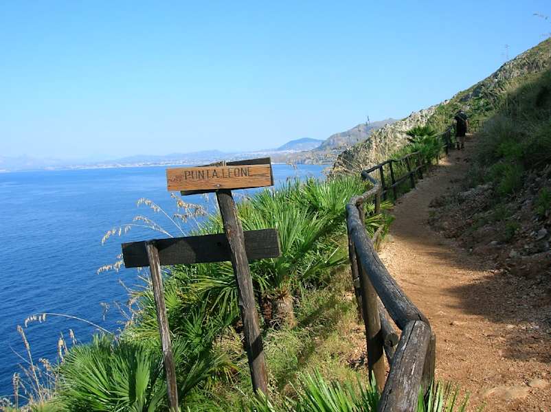 Punta Leone