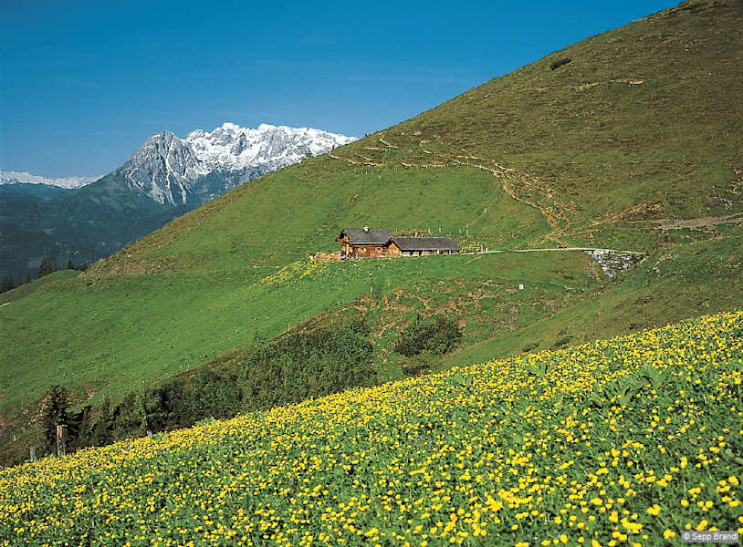 Frühling und Winter reichen sich die Hand – Brandstättalm, hinten der Hochkönig.