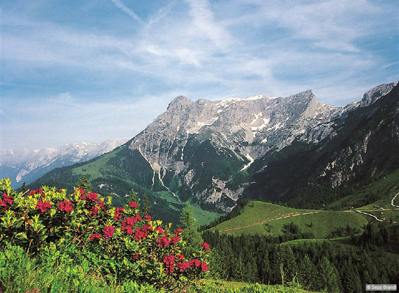 Ausblick aufs Tennengebirge beim Abstieg von der Bischlinghöhe zum Prokschhaus.