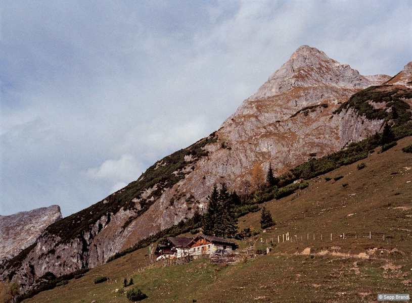 Unmittelbar vor der Brandstättalm zweigt der Weg zur Hackelhütte rechts ab.