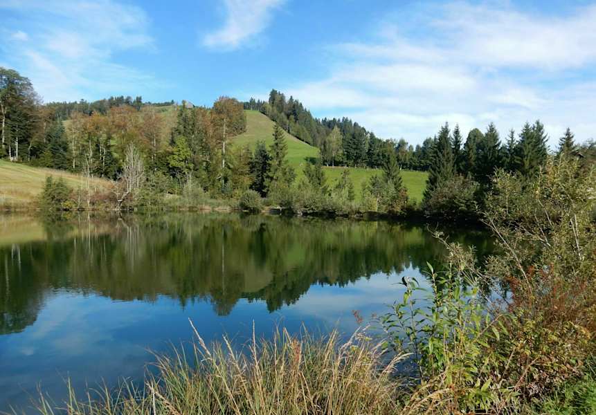 Bachtelweiher