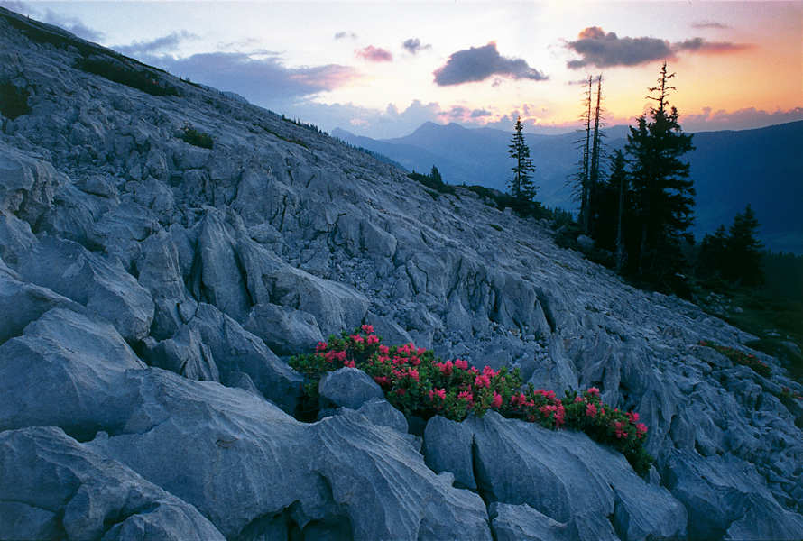 Mondgleiche Karstlandschaft an der Schrattenfluh
