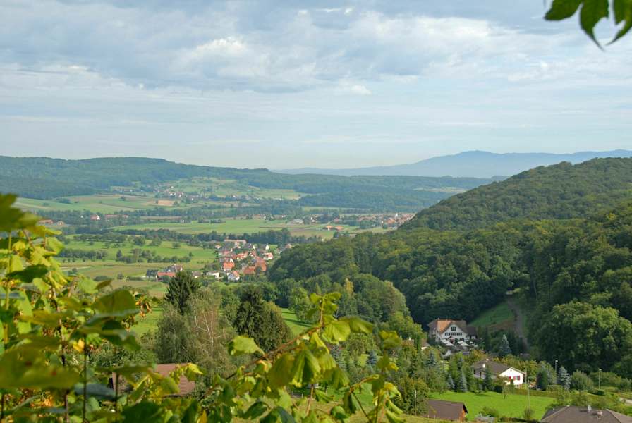 Blick auf Burg