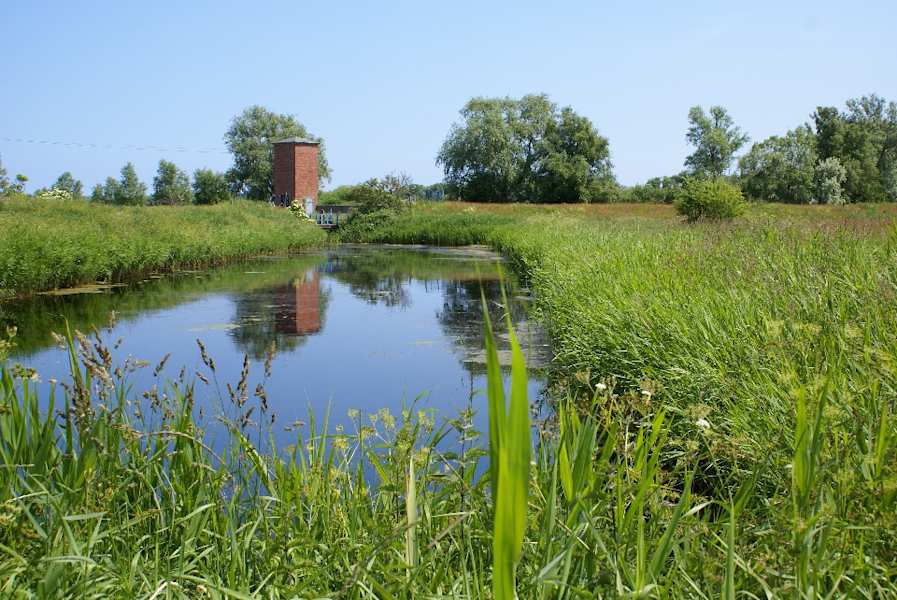 Bucht Mellsee
