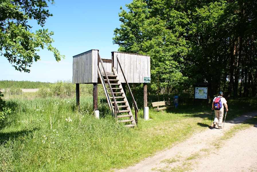 Naturbeobachtungsturm