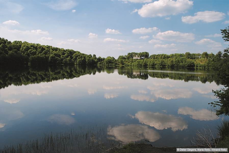 Idylle am Weinfelder Maar – auch bekannt als Totenmaar.