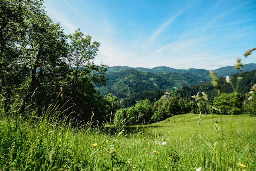 Übelbach, Gleinalm