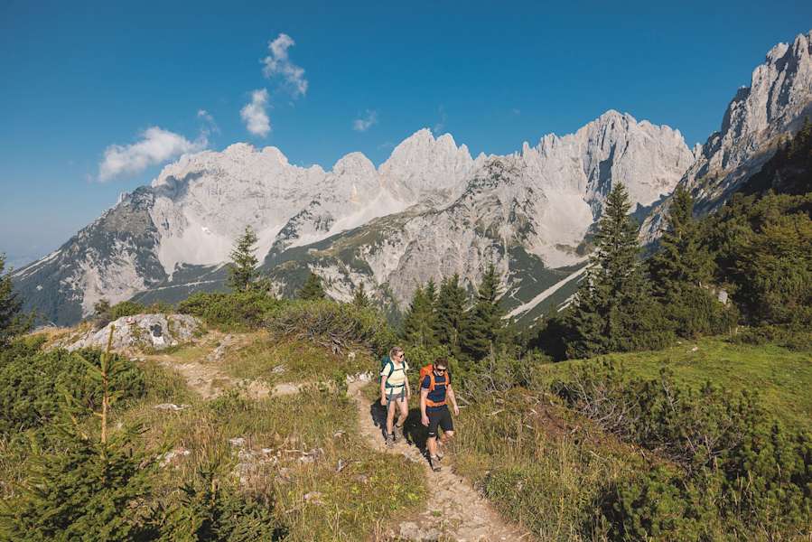 Tauernblick Panoramarundweg - Baumgatenköpfl