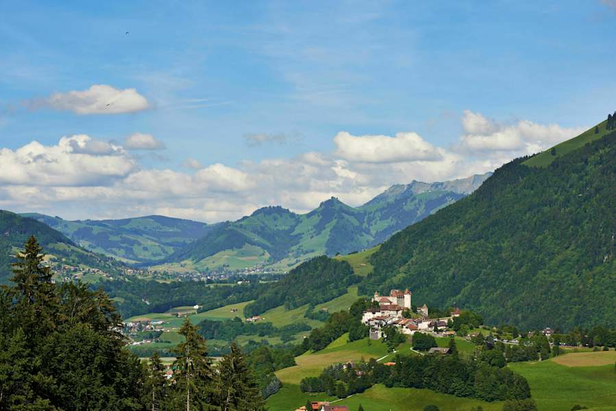 Greyerzerschloss