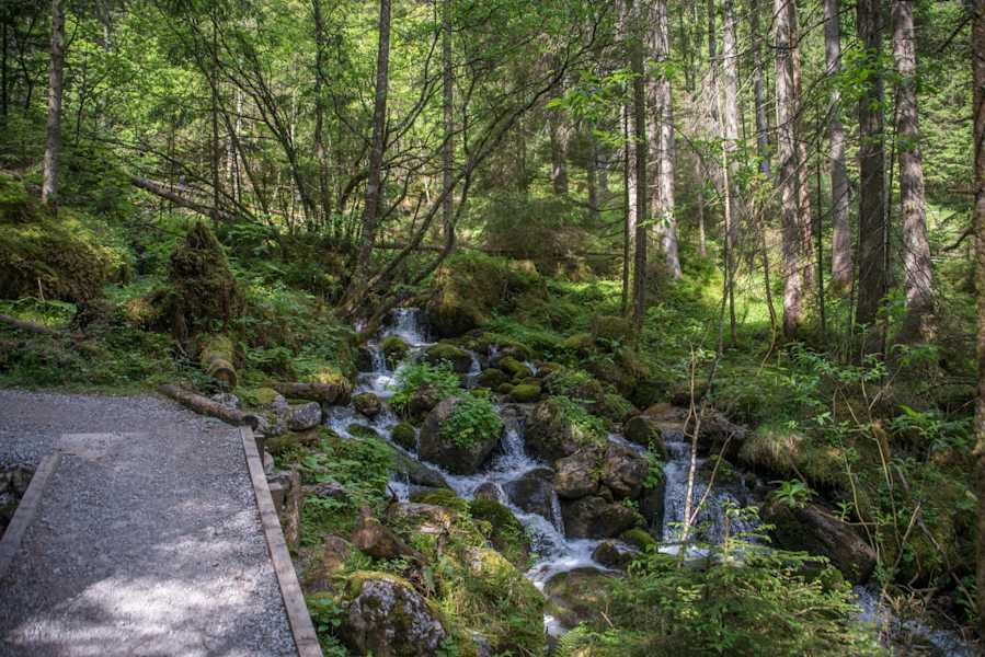 Am Wallfahrerweg hinauf nach Maria Kirchental