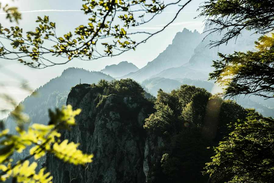Sommerlandschaft Niederkaiserkamm