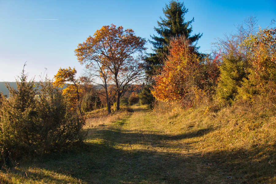 Herbstwanderung durch die Schwäbische Alb bei Mehrstetten