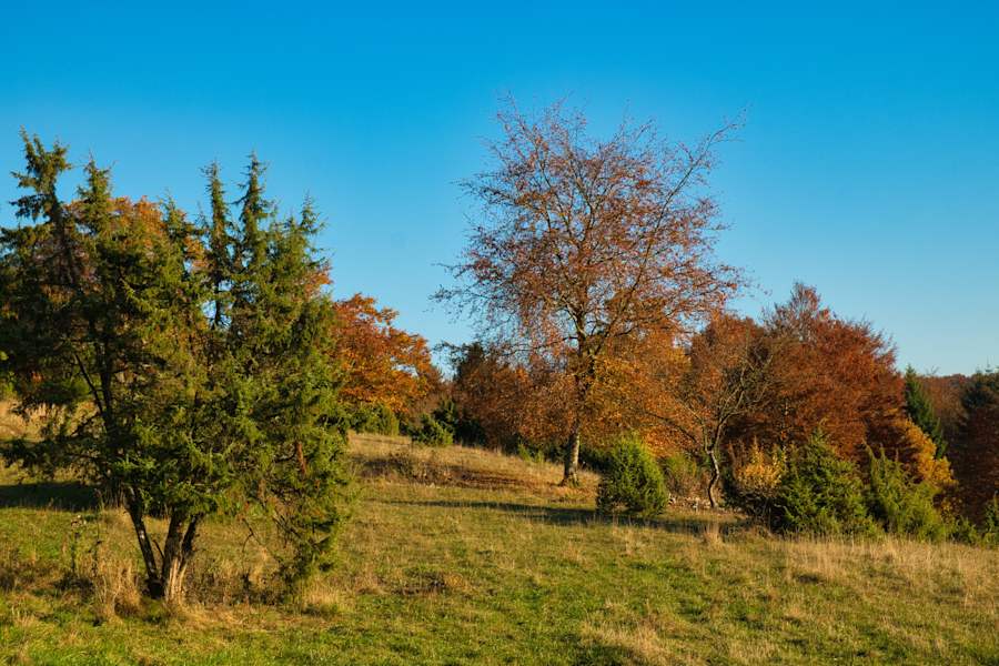 Herbstfarben in der Schwäbischen Alb bei Mehrstetten