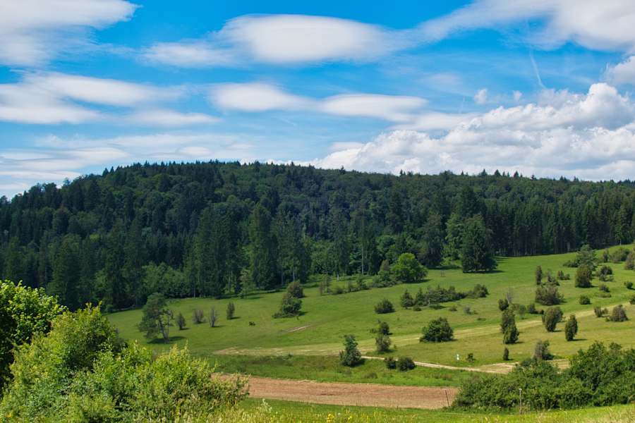 Sommerlandschaften der Schwäbischen Alb