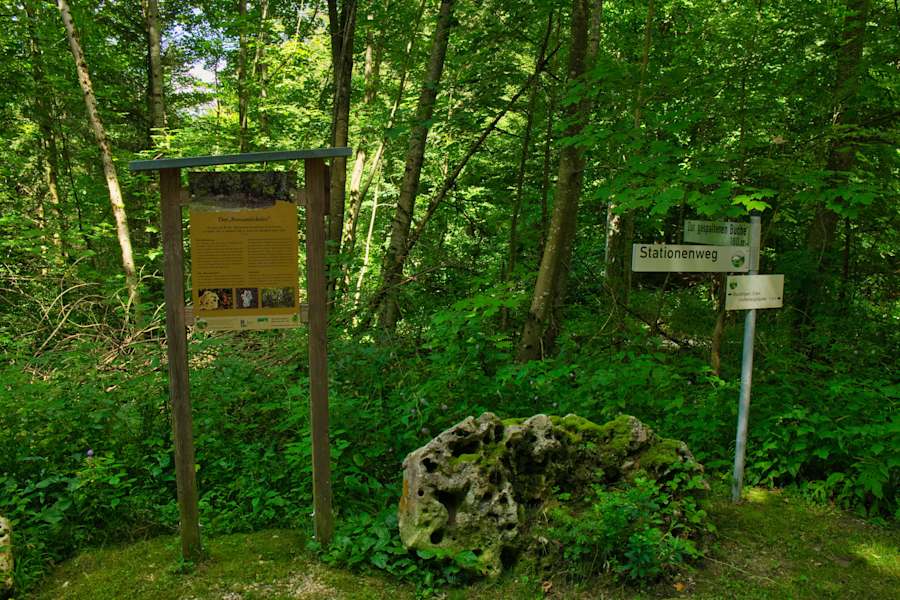 Der „Schwäbische Alb Stationenweg“ durch den Wald von Altsteußlingen