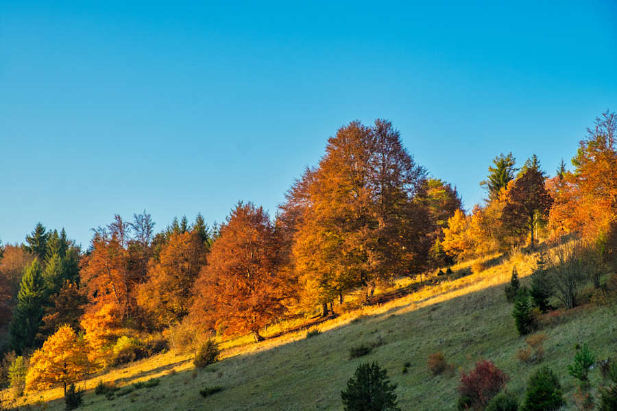 Herbststimmung auf der Schwäbischen Alb bei Mehrstetten