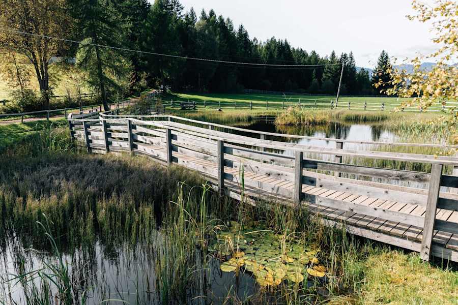 Spaziergang am Waldteich in Südtirol